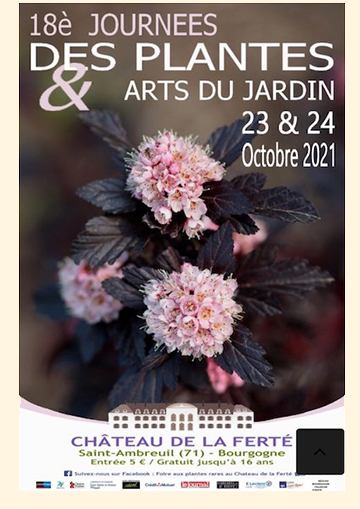 -	23 et 24 octobre : Journées des plantes rares 
            château de La Ferté, Saint Ambreuil 71
