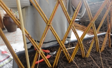 Chantier en osier vivant : jardinières et tressage