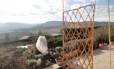 Chantier en osier vivant : jardinières et tressage