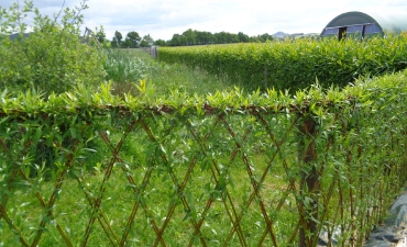 Tipi chez des particuliers, implantation de haies vivantes et habillage d'une cage de foot