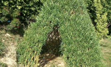 Tipi chez des particuliers, implantation de haies vivantes et habillage d'une cage de foot